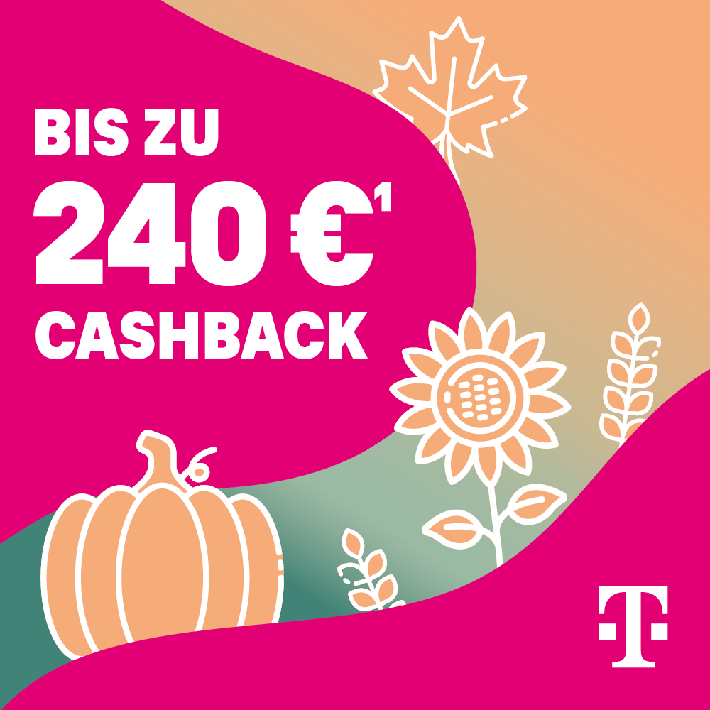 Unsere aktuellen Angebote